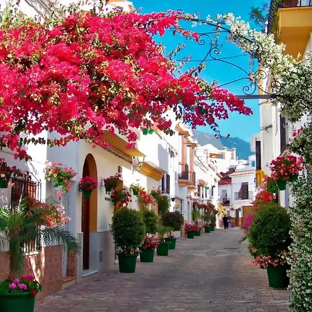 Coastal Chic Centro *